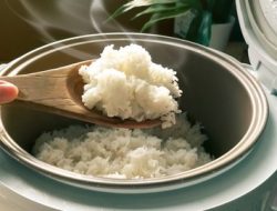 Tips agar Nasi dalam Magicom Tetap Segar Tanpa Bau dan tidak Cepat Basi